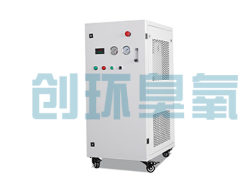 亳州石斑鱼养殖水质调控完整指南：臭氧发生器配置与操作步骤