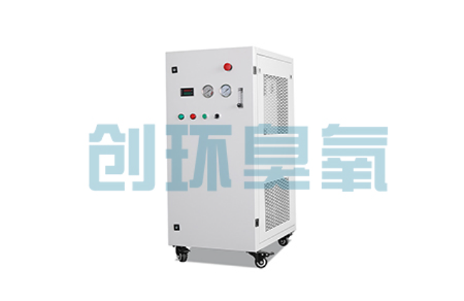 亳州比传统换水更高效？臭氧发生器在石斑鱼养殖中的水质净化原理解析