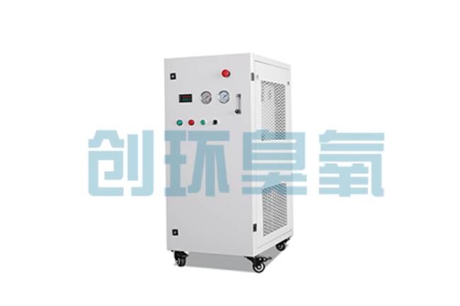 亳州比传统换水更高效?臭氧发生器在石斑鱼养殖中的水质净化原理解析